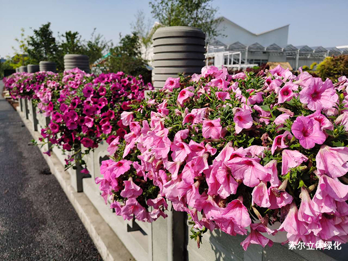 2020世界花園大會護欄美化39.jpg