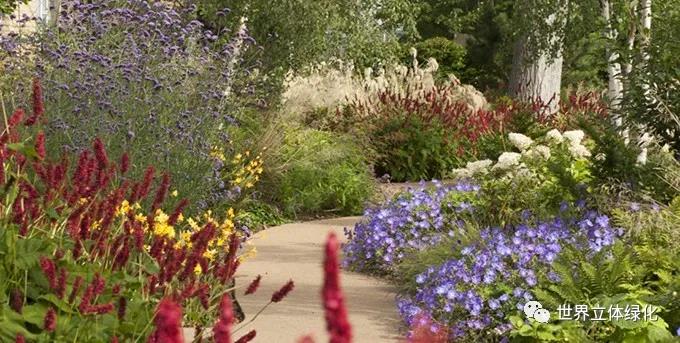 23格拉斯哥伊麗莎白女王大學醫(yī)院伊麗莎白女王國家脊柱傷害科花園 (8).jpg