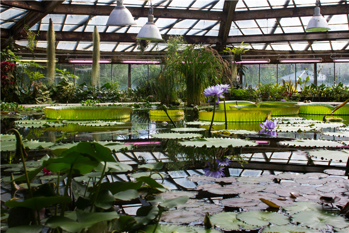 生態餐廳溫室花園 (15).jpg