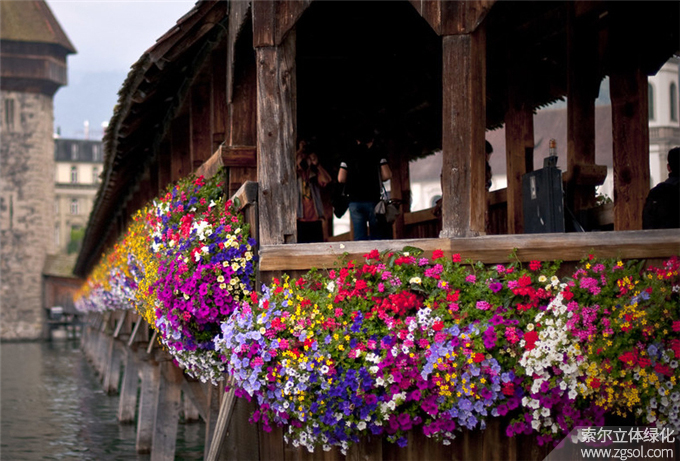 31瑞士盧塞恩小鎮護欄綠化 (12).jpg