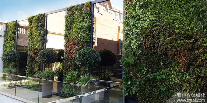 36垂直綠化.jpg