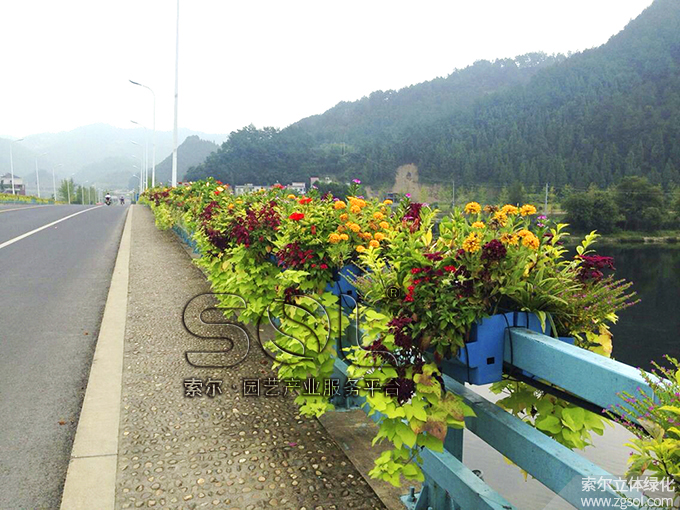 17護欄綠化 (2).jpg