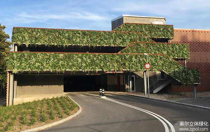 02車庫植物墻 (19).jpg