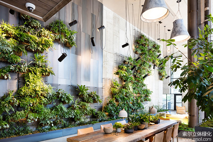 26墻上花園 (1).jpg