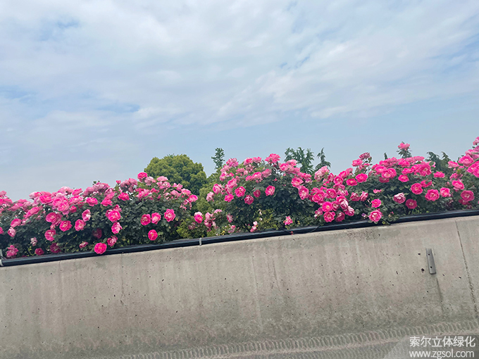 26杭州高架2021年 (53).jpg